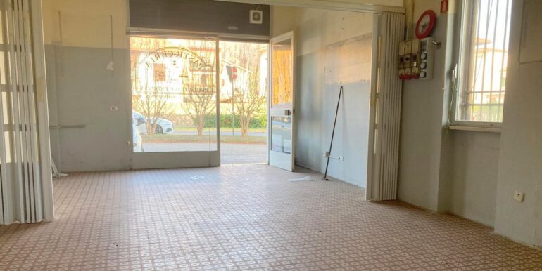 IMG-20251113-WA0009-001