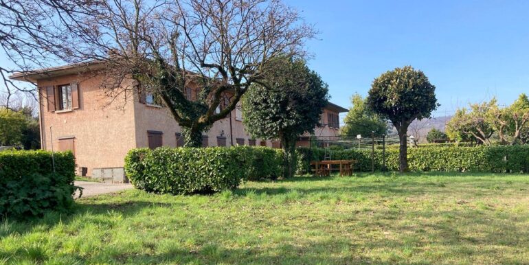 WhatsApp Image 2026-02-031