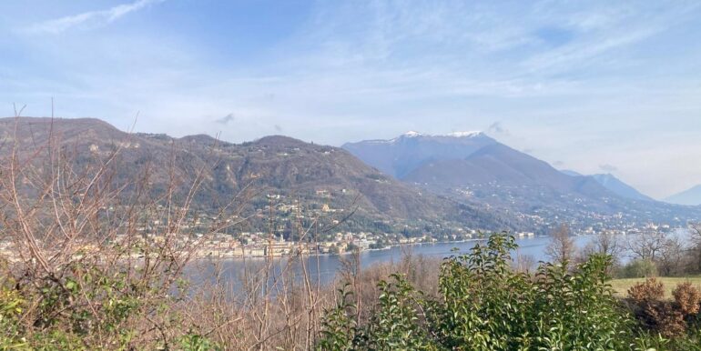 WhatsApp Image 2026-02-032