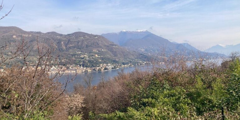 WhatsApp Image 2026-02-033