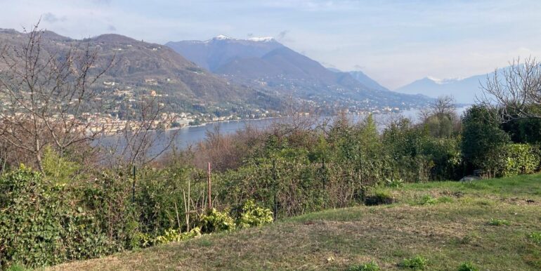 WhatsApp Image 2026-02-034