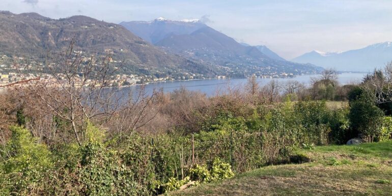 WhatsApp Image 2026-02-035