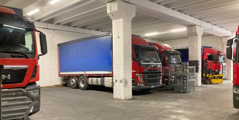 WhatsApp Image 2026-02-013