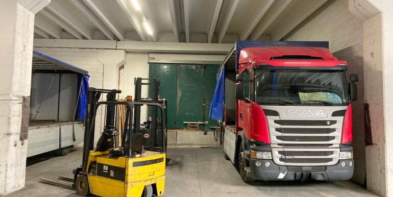 WhatsApp Image 2026-02-015